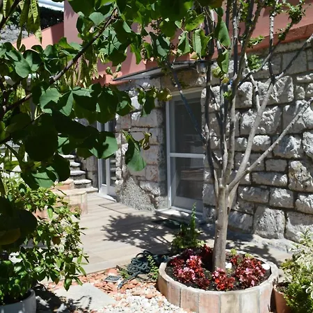 Beba's Garden * 오파티아